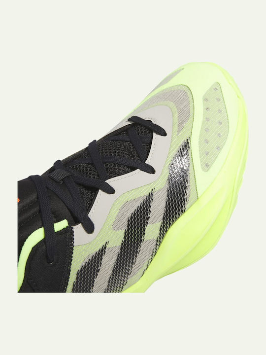 Adizero Select 2.0 Χαμηλά Μπασκετικά Παπούτσια Πολύχρωμα