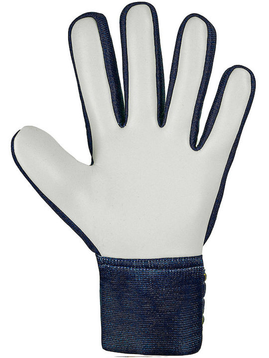 Reusch Attrakt Starter Solid Adults Goalkeeper Gloves Multicolour