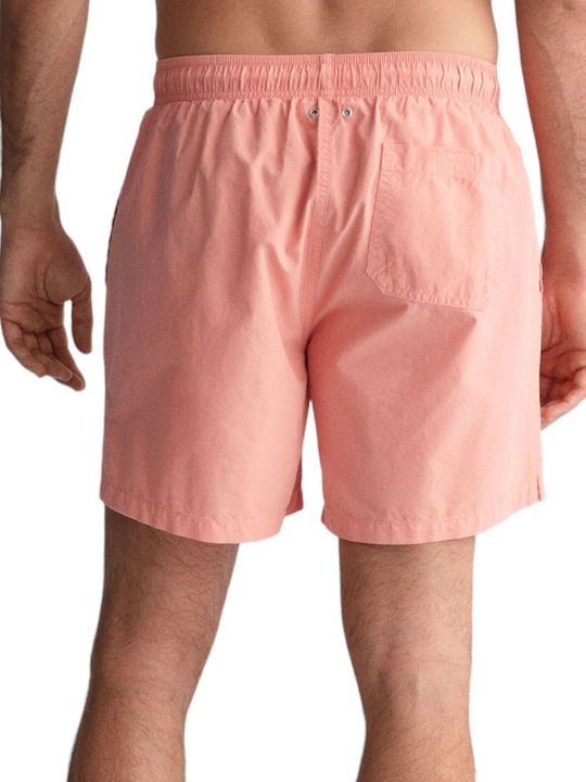 Gant