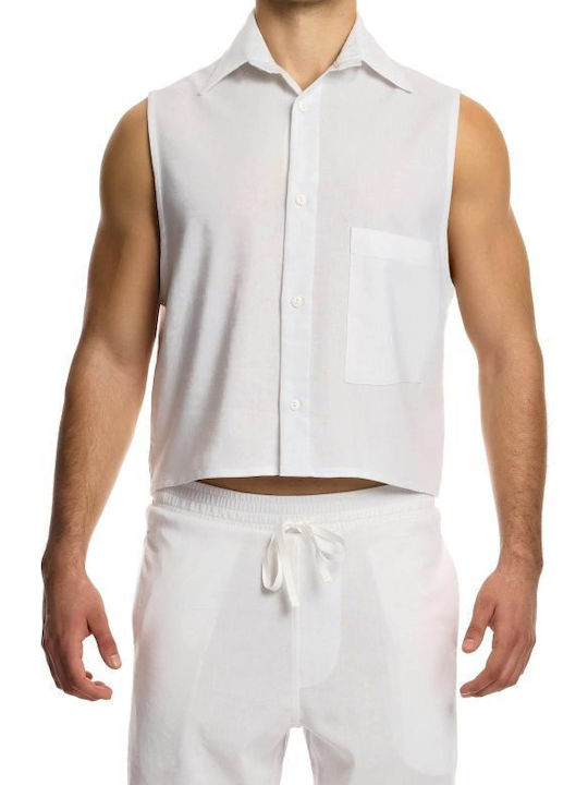 Modus Vivendi