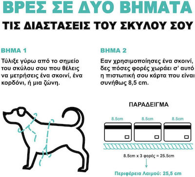 Zeedog Οδηγός Περιπάτου Σκύλου Εκπαιδευτικός Slip-n-lock Gotham