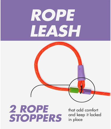 Zeedog Dog Training Leash Slip-n-lock Gotham