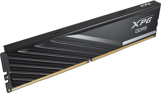 Adata Lancer DDR5 with Module 1x16GB and Speed 5600 for Desktop