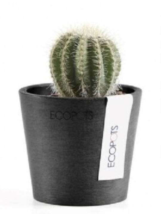 Ecopots Amsterdam Übertopf Schwarz 13x13x11.4εκ.