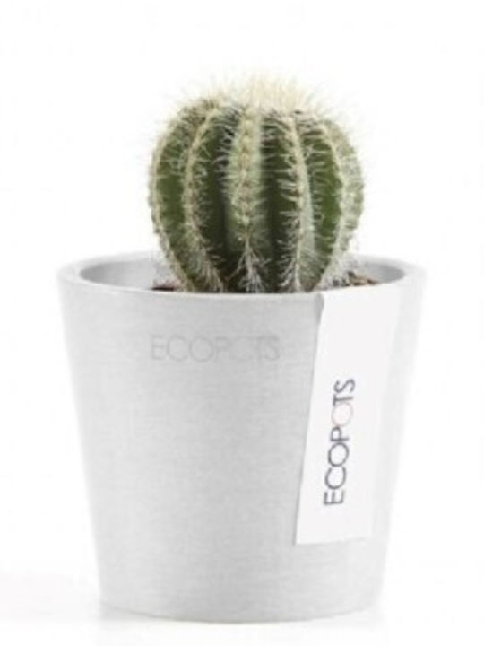 Ecopots Amsterdam Pot White 10.5x10.5x9.2cm