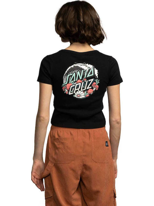Santa Cruz