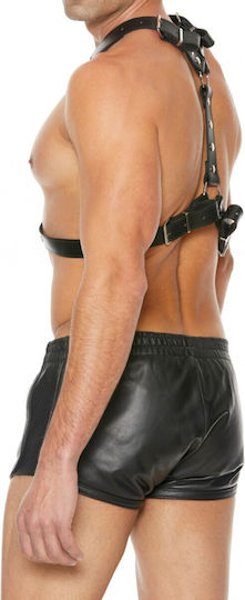 Harness With Metal Spots - Black