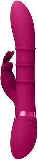 Vive Vibrator Rabbit 24cm Pink