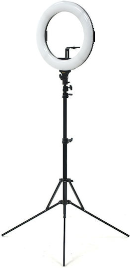 Ikan HomeStream Teleprompter Kit