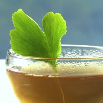 Τζινγκο Μπιλομπα Ginkgo Biloba Φυλλο Κομμενο Κινας 500 Gr
