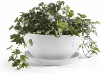 Ecopots Teller Topf White 29x29cm 74.019.30W