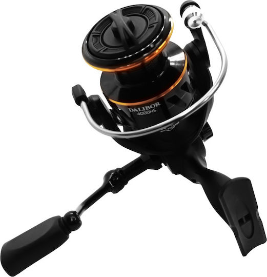 Oceanic Dalibor Fishing Reel for Eging and Spinning 3000