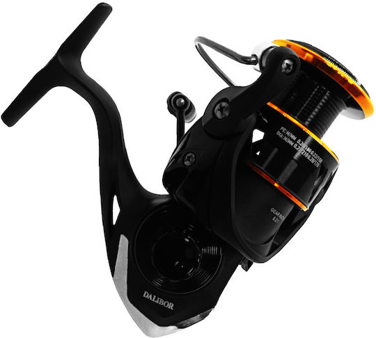 Oceanic Dalibor Fishing Reel for Eging and Spinning 3000