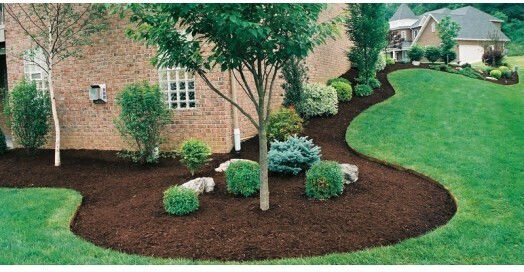 Material de Plantare Scoarță de pin 25/40 Ambalaj 70lt CO24