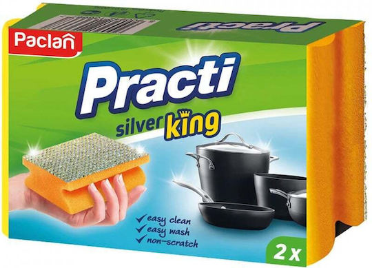 Paclan Practi Σετ Σφουγγάρια Πιάτων με Λαβή Ασημί 2τμχ