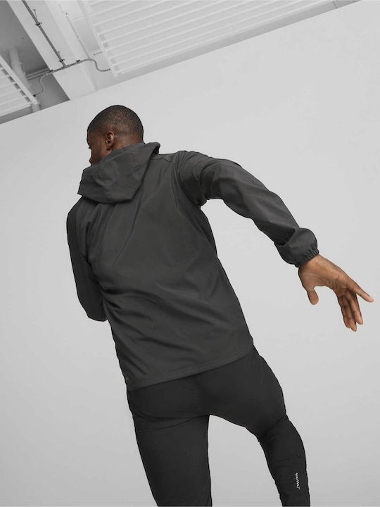 PUMA