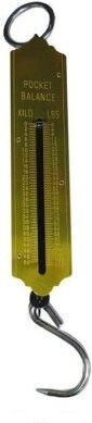 Professional Hanging Scale with Weighing Capacity of 50kg