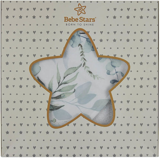 Bebe Stars - Burnousie Cape Nature - 3152