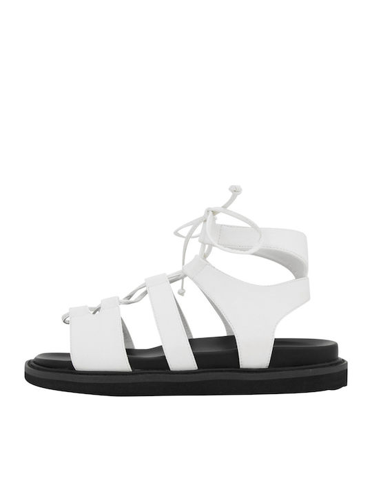Envie Shoes