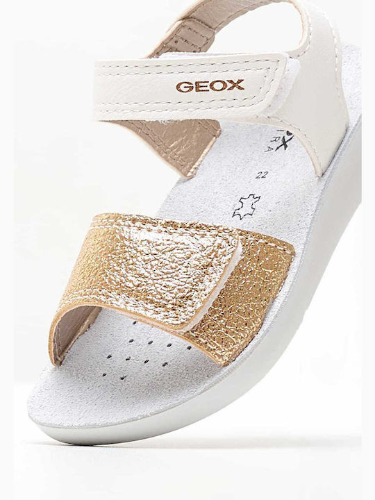 Geox Geox