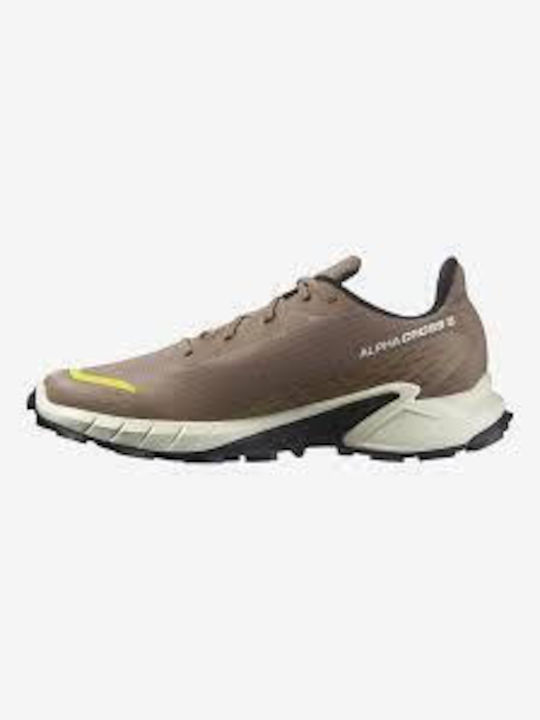 Salomon Alphacross 5 Ανδρικά Αθλητικά Παπούτσια Running Καφέ