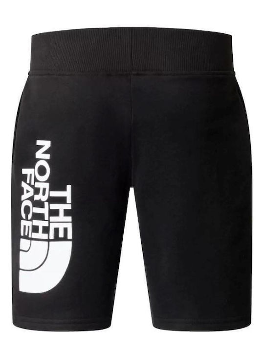 The North Face The North Face