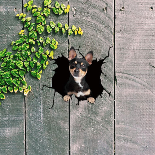Autocolant decorativ Chihuahua Dog pentru casă sau mașină, autocolant premium, 30 X 30 Cm, oferte originale