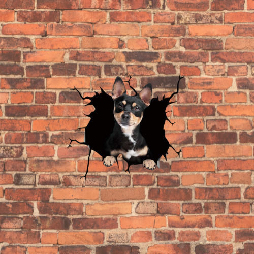 Autocolant decorativ Chihuahua Dog pentru casă sau mașină, autocolant premium, 30 X 30 Cm, oferte originale