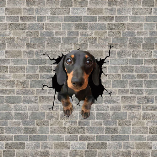 Autocolant decorativ Dachshund pentru casă sau mașină, autocolant premium, 30 X 30 Cm, oferte originale