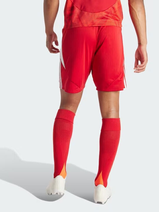 Tiro 24 Sports Men's Red Shorts
