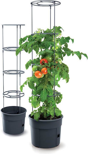 Next Pot Plastic 39.2x39.2x31.5cm.