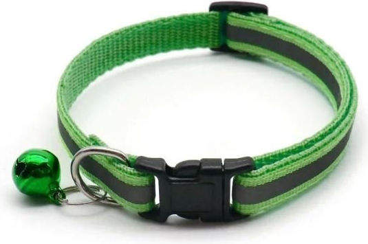 Katzenhalsband Grün