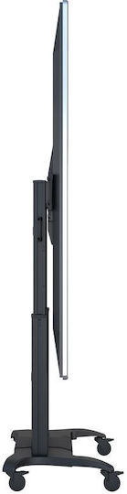 Multibrackets M Public Floorstand Dual Pillar 180 HD Suport TV pardoseală până la 100" și 90kg Negru