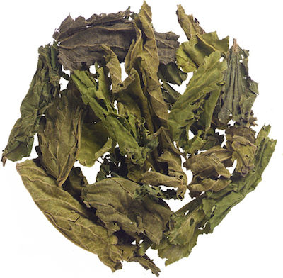 Panora Nettle 500gr