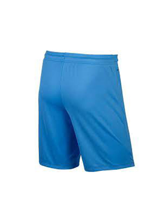 Nike Νικε Y Park Ii Knit Short Wb 725989-412