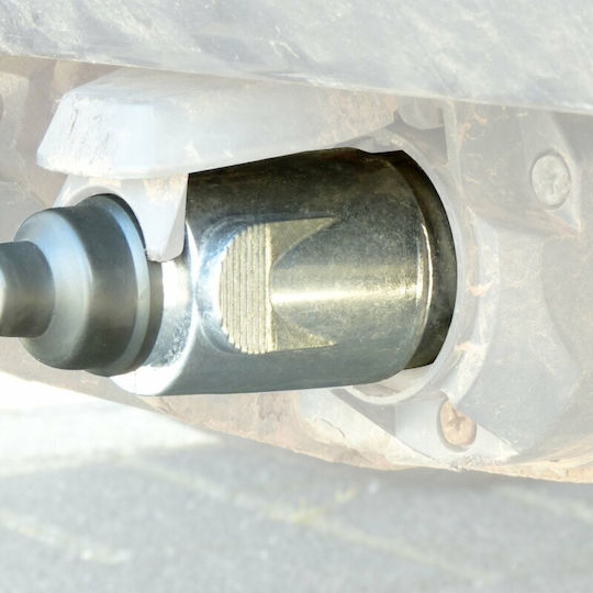 Carpoint Φις Πρίζας Τρέιλερ με 7 pin 12V