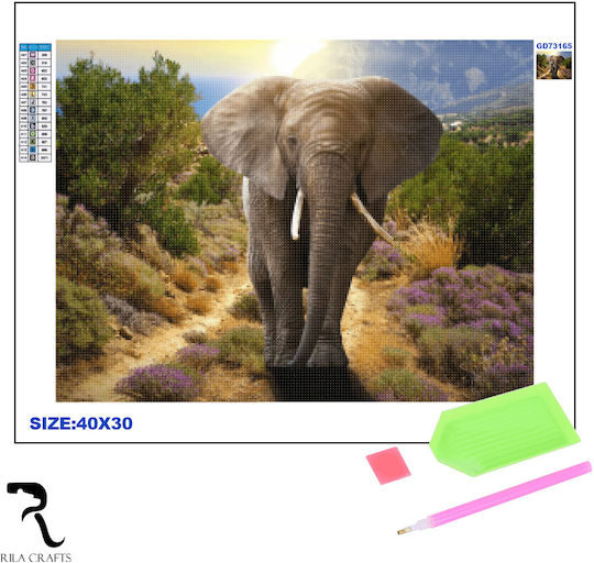 Καμβάς Diamond Painting Κιτ