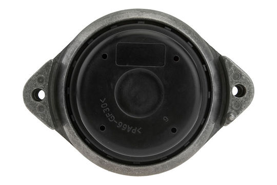 Aktion, Motor Zps-bm-007