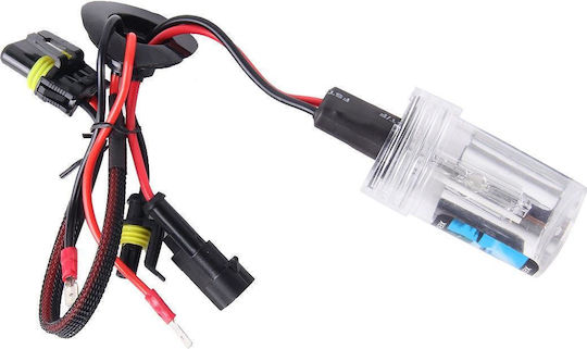 Xenon Σετ Φωτισμού Αυτοκινήτου H7 35W 12V 8000K Ψυχρό Λευκό