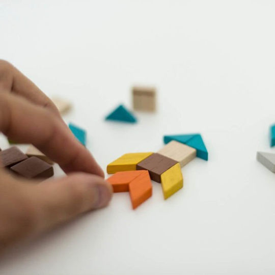 Plan Toys Blocuri Mozaic Din Lemn pentru 3-99 ani Ani 26buc