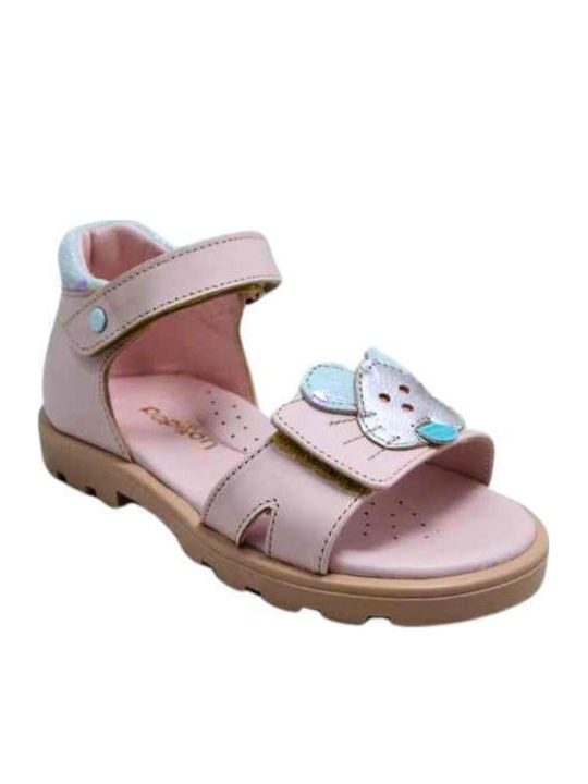 Papillon