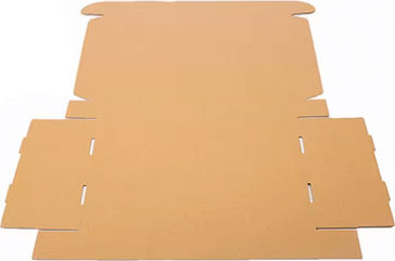 Triple Wall Packaging Box W25xD20xH7cm 50pcs
