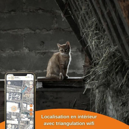 Weenect GPS Електрическа Огърлица за Куче & Куче