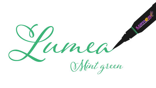 Lumea Colorant pentru Cofetărie în Formă Lichidă Verde 1buc Stilou