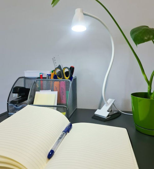 LED in Weißer Farbe ZY11943QWS55