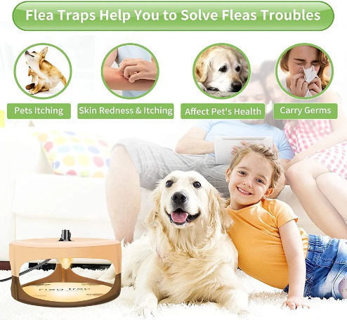 STV Flea Killer Fallen für Flöhe 1cm