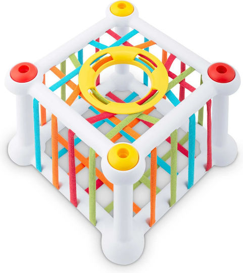 Ricokids Cub de Activități