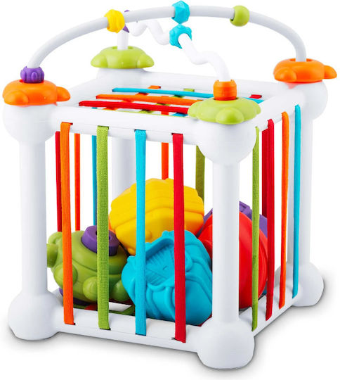 Ricokids Cub de Activități