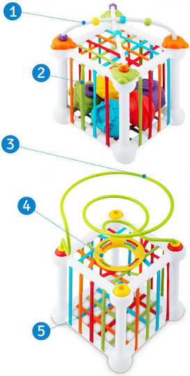 Ricokids Cub de Activități