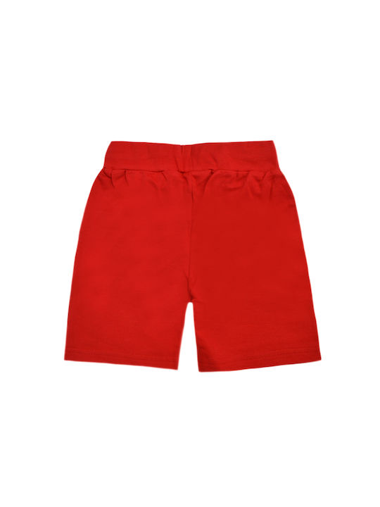 Beverly Hills Polo Club Kids Shorts/Bermuda Fabric Red